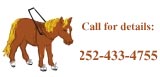 call 252-433-4755